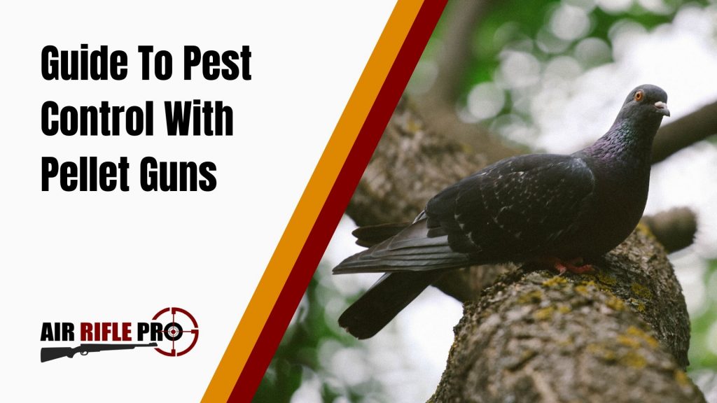 Guide To Pest Control With Pellet Guns | Air Rifle Pro